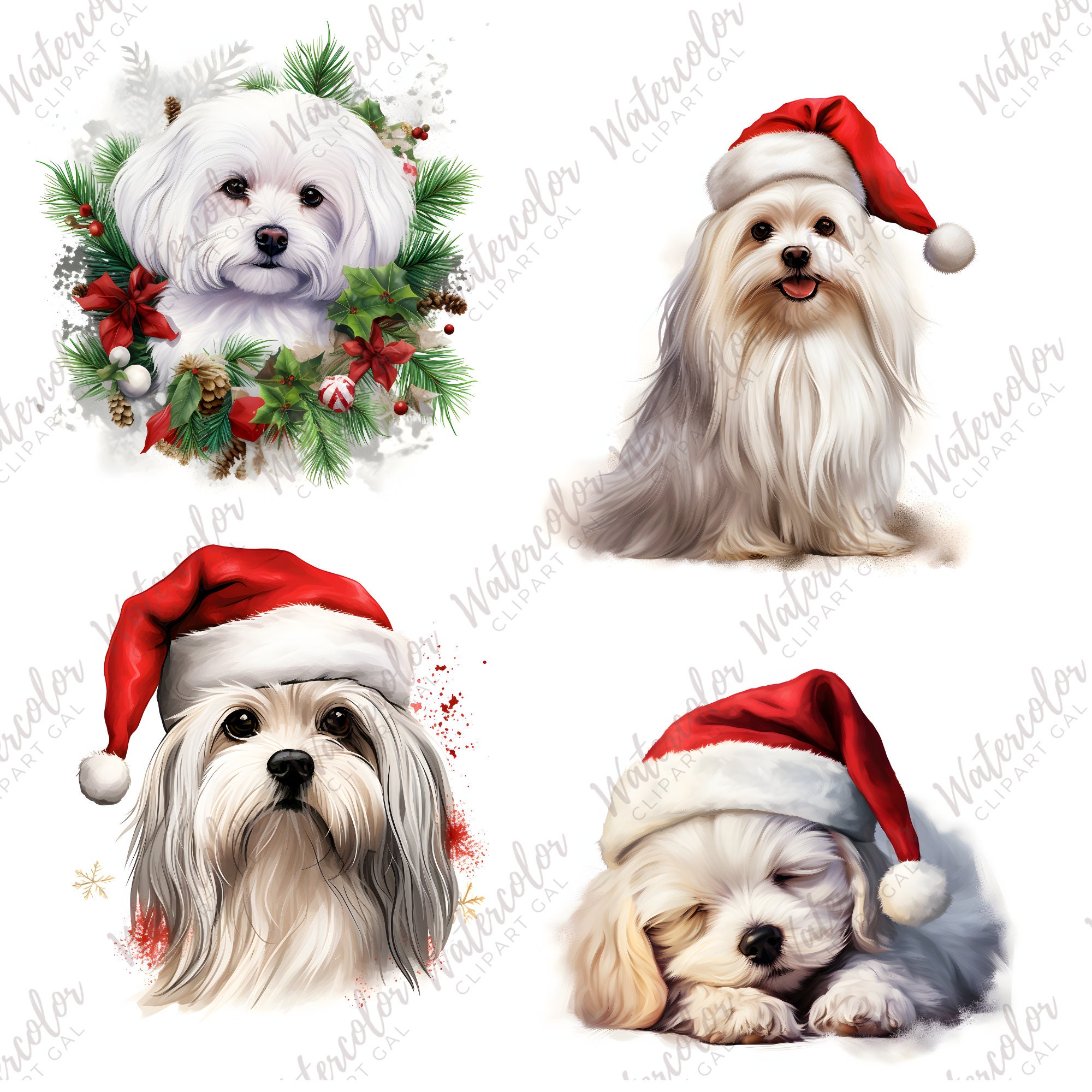 Christmas Maltese Clipart Watercolor Bundle | Dog Portrait | Christmas ...
