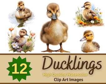 Baby Duckling Clipart PNG Watercolor Bundle | Baby Animals Clipart | Baby Duck Clipart | Cute Animals PNG | Baby Animal Nursery Decor