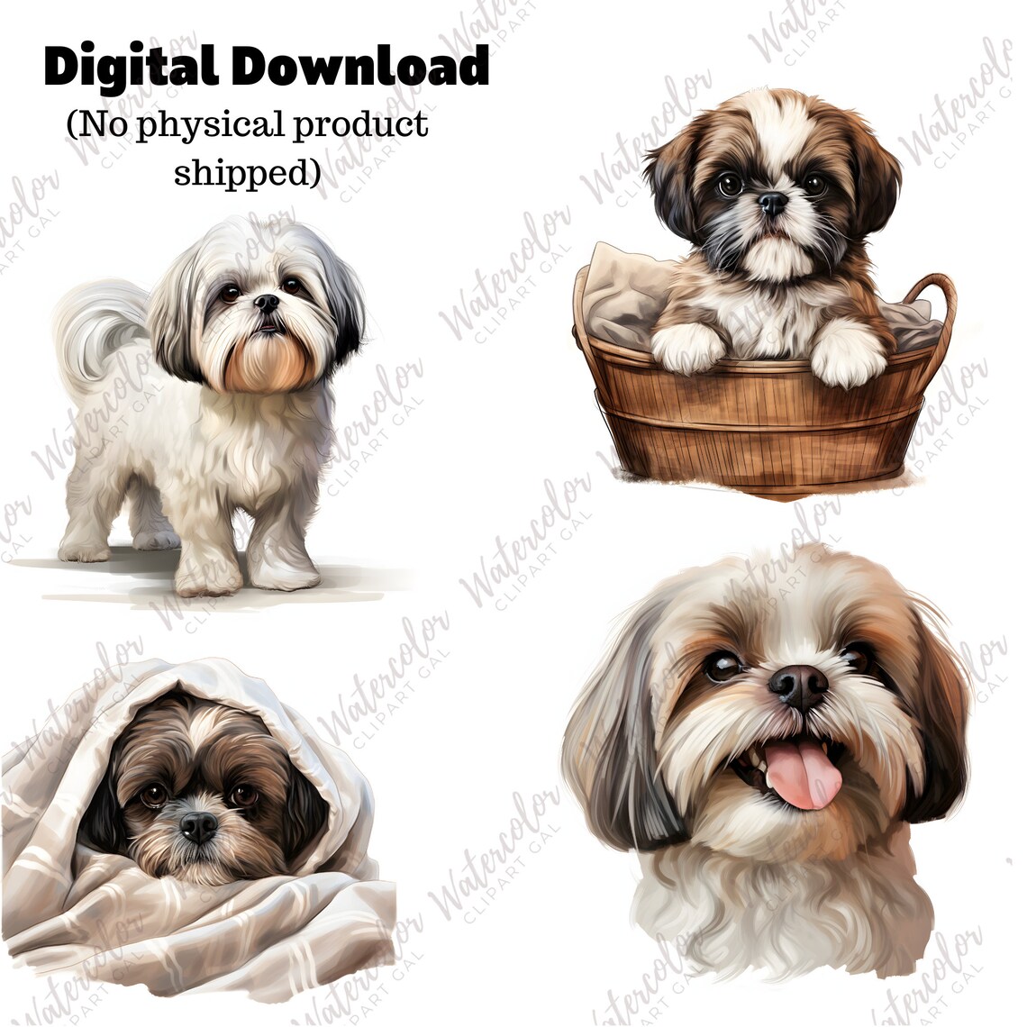Shih Tzu Clipart Watercolor Bundle | Dog Portrait | Shih Tzu PNG | Dog ...