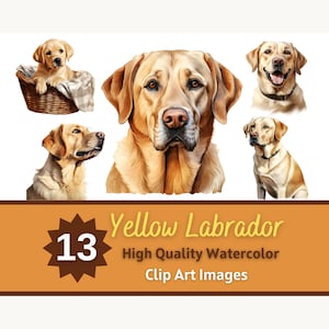 May include: A collection of 13 watercolor clip art images featuring yellow Labrador dogs in various poses, including a puppy in a basket and several adult dog portraits. The text reads 13 Yellow Labrador High Quality Watercolor Clip Art Images.