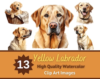 Gelber Labrador Clipart Aquarell Bundle | Hundeportrait | Gelber Labrador PNG | Hundeliebhaber Kunst | Junk Journal Hunde | Kartenherstellung Verschönerung
