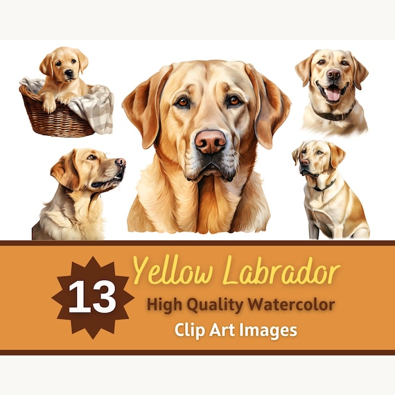 Yellow Labrador Clipart Watercolor Bundle | Dog Portrait | Yellow Lab PNG | Dog Lover Art | Junk Journal Dogs | Cardmaking Embellishment