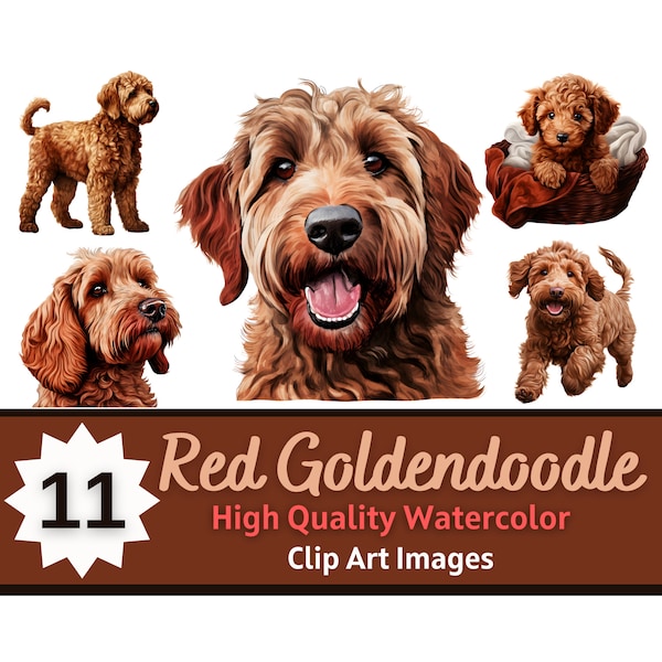 Red Goldendoodle PNG Clipart Watercolor Bundle | Dog Portrait | Golden Doodle | Dog Lover Art | Junk Journal Dogs | Cardmaking Embellishment