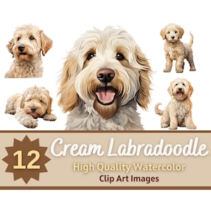 Creme Labradoodle PNG Clipart Pacote Aquarela | Retrato de cachorro | Clipart de Labradoodle | Cães do Junk Journal | impressão de arte de cachorro | Criação de cartões
