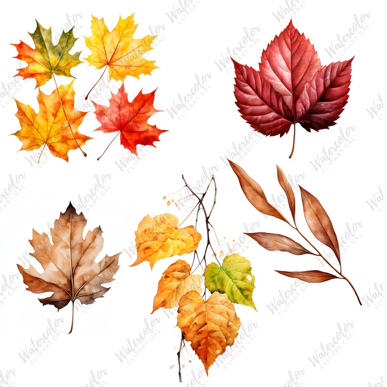 Puede incluir: Un conjunto de ilustraciones de acuarela de hojas de oto&ntilde;o en varios tonos de rojo, naranja, amarillo y marr&oacute;n. Las hojas est&aacute;n aisladas sobre un fondo blanco.