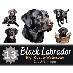 Paquete de acuarela de imágenes prediseñadas de Labrador negro / Retrato de perro / Laboratorio negro PNG / Arte amante de los perros / Arte conmemorativo de mascotas / Embellecimiento de fabricación de tarjetas