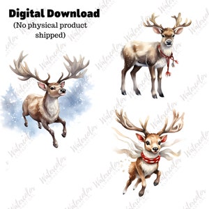 Santa's Reindeer Clipart PNG Watercolor Bundle | Christmas Reindeer ...
