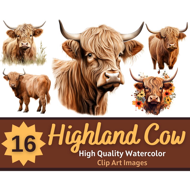 Highland Cow Clipart Watercolor PNG | Cute Animal Clipart | Barnyard ...