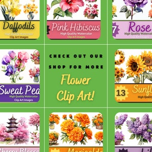Red Rose Clipart PNG Watercolor Bundle | Valentine's Day Clipart ...