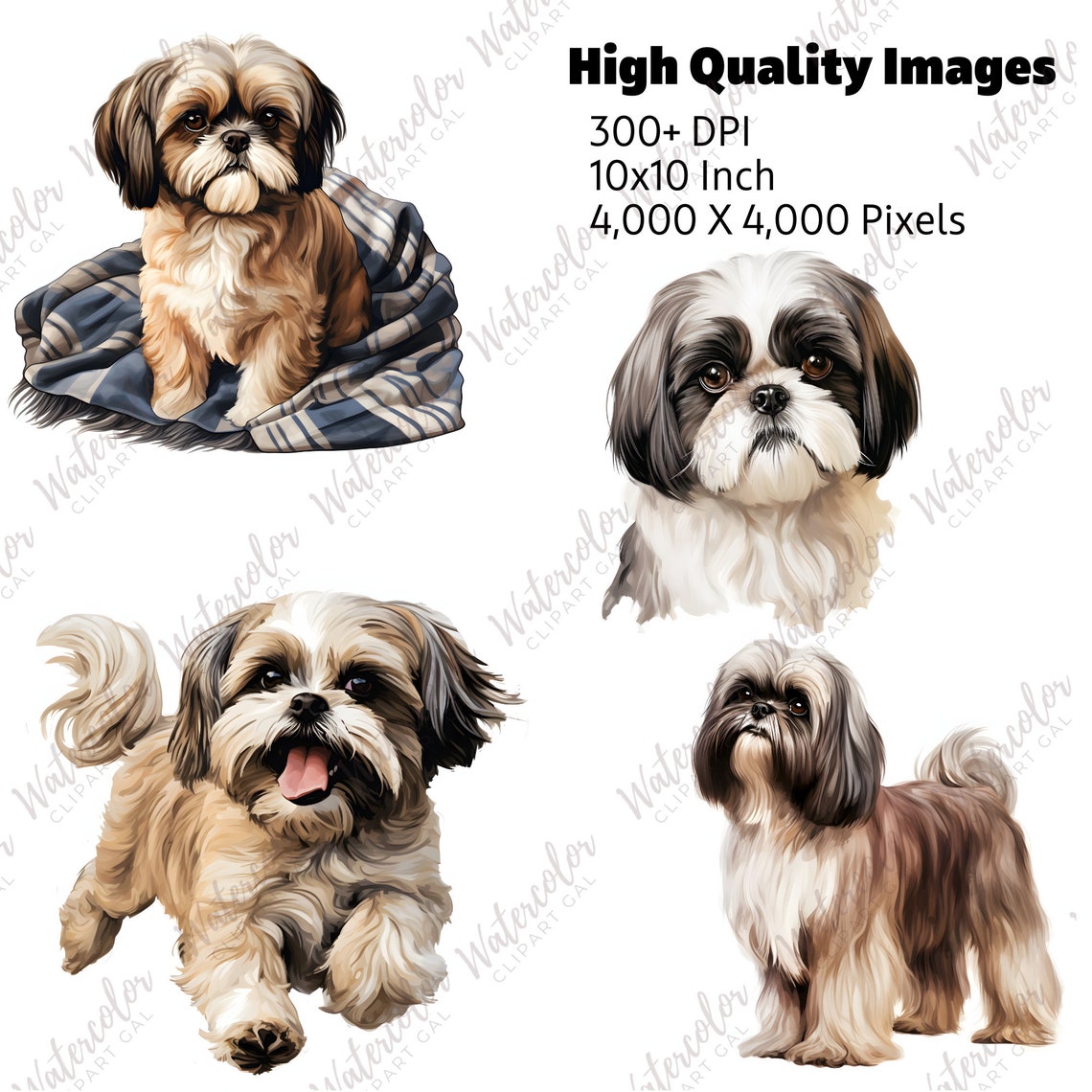 Shih Tzu Clipart Watercolor Bundle | Dog Portrait | Shih Tzu PNG | Dog ...