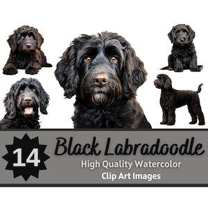 Pacote aquarela clipart preto Labradoodle | Retrato de cachorro | Labradoodle PNG | Cão de lixo eletrônico | Mamãe Doodle | Memorial do animal de estimação | Criação de cartões