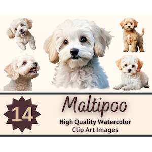 Maltipoo clipart aquarel bundel | Hondenportret | Maltipoo, png-bestand | Junk Journal Honden | Maltipoo-monument | Versiering kaarten maken