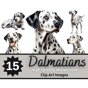 Dalmatian Clipart Watercolor Bundle | Dog Portrait | Dalmatian Dog PNG | Pet Memorial Dogs | Junk Journal Dogs | Cardmaking Embellishment