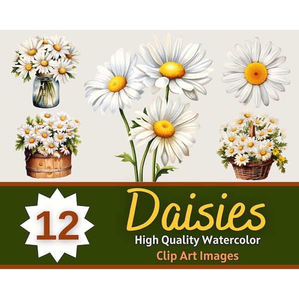 Daisy Clipart PNG Watercolor Bundle | Daisy Flower PNG | Floral Clipart | Flowers Clipart | Floral Junk Journal | Cardmaking Embellishment