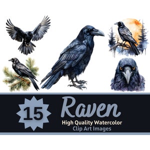 Lot de cliparts aquarelle corbeau | Corbeau PNG | Impression d'art oiseau | Journal indésirable Oiseaux | Corbeau et la lune | Clipart Halloween | Corbeau d'Halloween