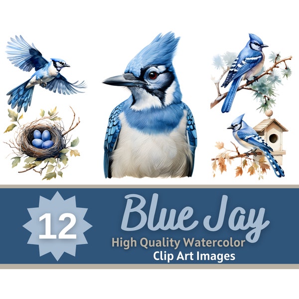 Blue Jay PNG Watercolor Bundle | Blue Jay Clipart | Beautiful Bird Art | Junk Journal Birds | Colorful Bird Print | Cardmaking Embellishment