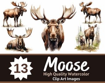 Moose Clipart Watercolor Bundle | Moose PNG | Woodland Animal Clipart | Woodland Animal Print | Junk Journal | Deer Clipart | Forest Animal