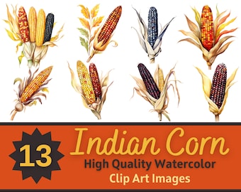 Otoño Otoño Granja Indio Maíz PNG Paquete de acuarela / Flint Corn Temporada Otoño Clipart / Otoño Amor / Adorno de fabricación de tarjetas de Acción de Gracias