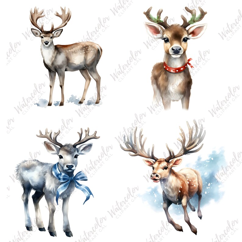 Santa's Reindeer Clipart PNG Watercolor Bundle | Christmas Reindeer ...
