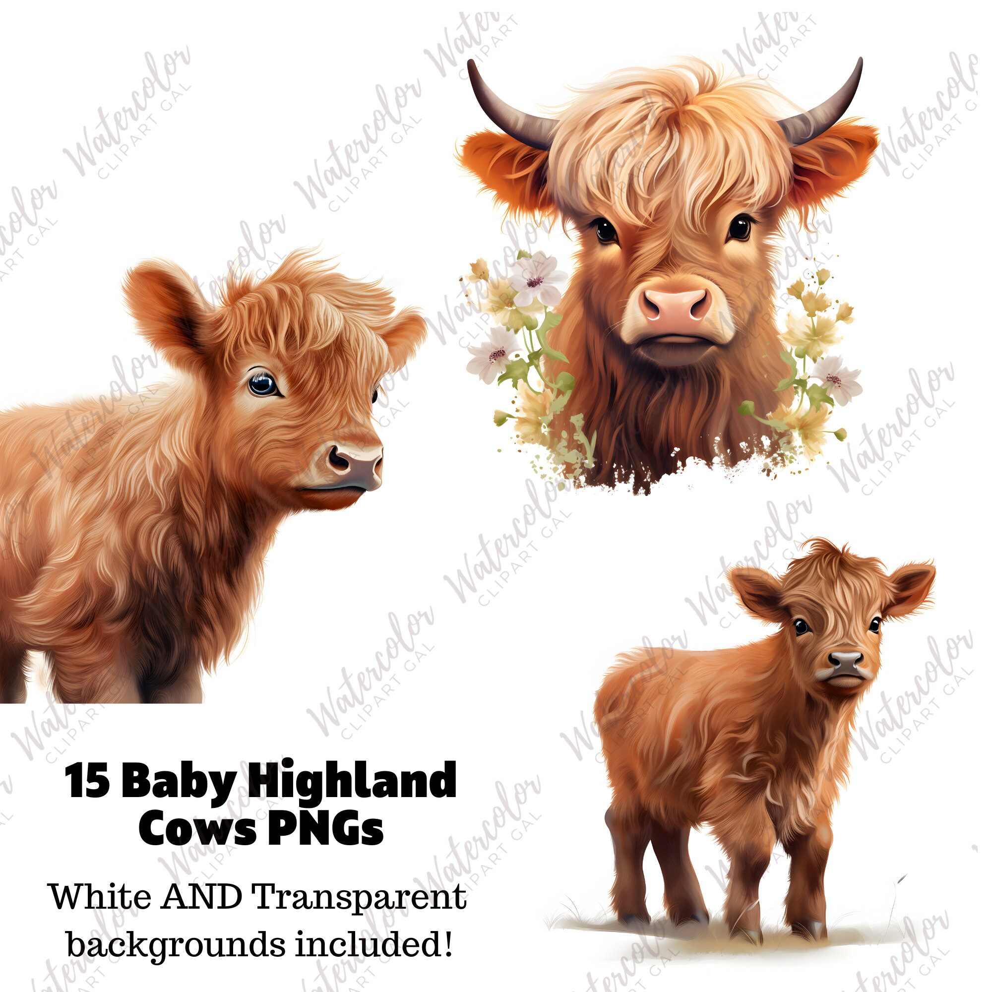 Baby Highland Cow PNG Watercolor Bundle Baby Animal Clipart Baby Animal ...