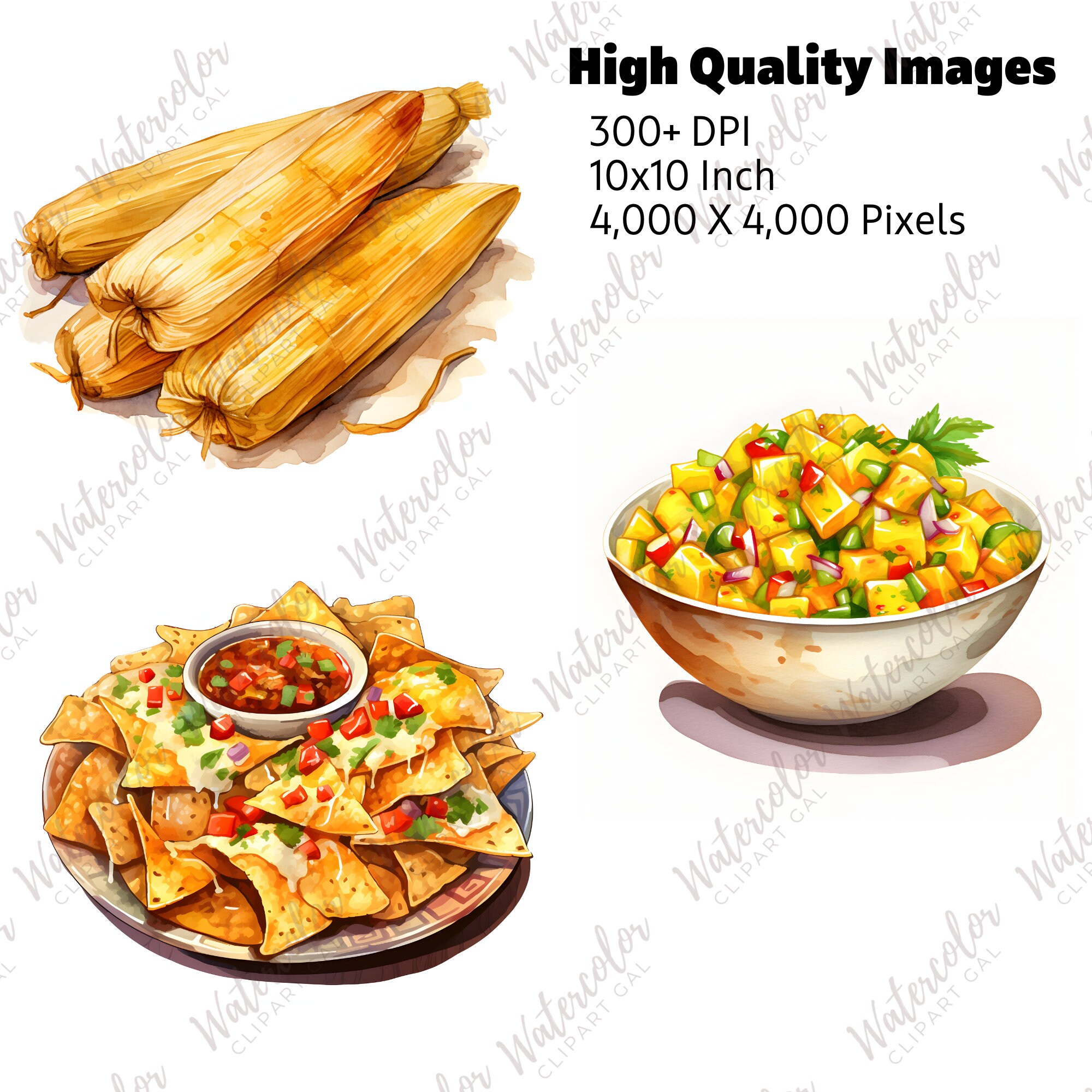 Mexican Food Clipart | Watercolor Food Clipart | Taco Clipart | Mexican ...