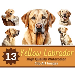 Gele Labrador Clipart aquarel bundel | Hondenportret | Geel Lab PNG | Hondenliefhebber kunst | Junk Journal Honden | Versiering van kaarten maken