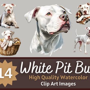 Lot de cliparts blancs Pit Bull aquarelle | Portrait de chien | Pitbull PNG | Art amoureux des chiens | Junk Journal Chiens | Embellissement de fabrication de cartes