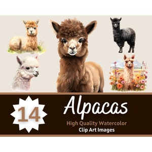 Alpaca Clipart PNG Watercolor Bundle | Cute Animal Clipart | Barnyard Birthday | Cute Animals PNG | Alpaca PNG | Farm Animals Clipart