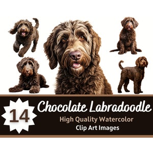 Schokolade Labradoodle Clipart Aquarell Bundle | Hundeportrait | Labradoodle PNG | Junk Journal Hund | Haustier-Denkmal | Kartengestaltung