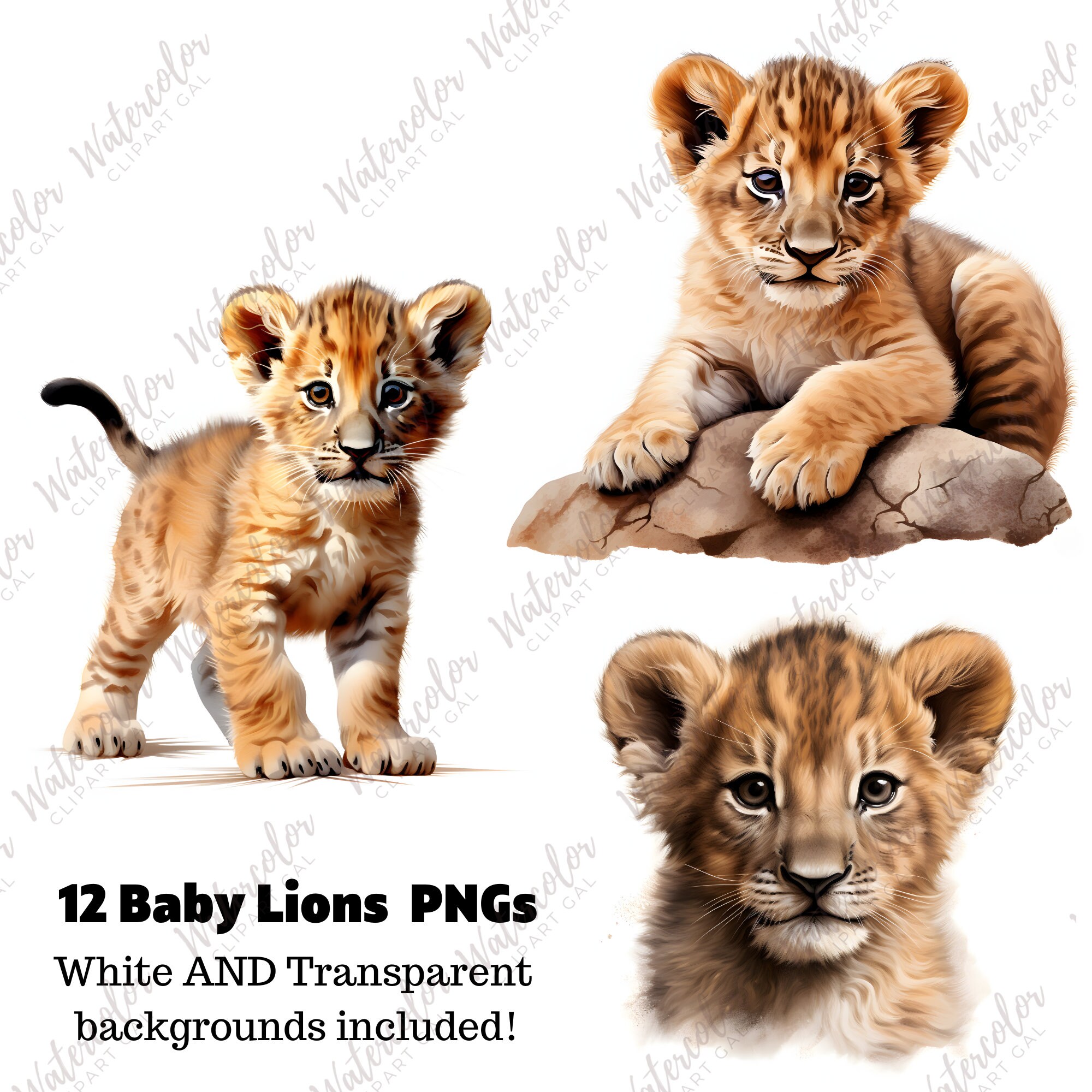 Baby Lion Clipart PNG Watercolor Bundle | Baby Animals Clipart | Safari ...