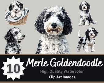 Merle Goldendoodle PNG Clipart Watercolor Bundle | Dog Memorial Portrait | Dog Lover Art | Junk Journal Dogs | Cardmaking Embellishment