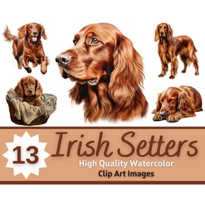 Pacote aquarela clipart de setter irlandês | Retrato de cachorro | Cachorro Setter Irlandês PNG | Arte do amante do cão | Cães do Junk Journal | Enfeite para confecção de cartões