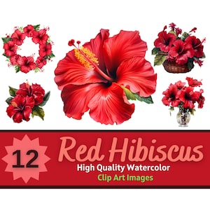 Aquarelle fleur d'hibiscus rouge Clipart PNG | Fleur d'hibiscus PNG | Clipart floral | Fleur hawaïenne des cliparts | Journal floral indésirable