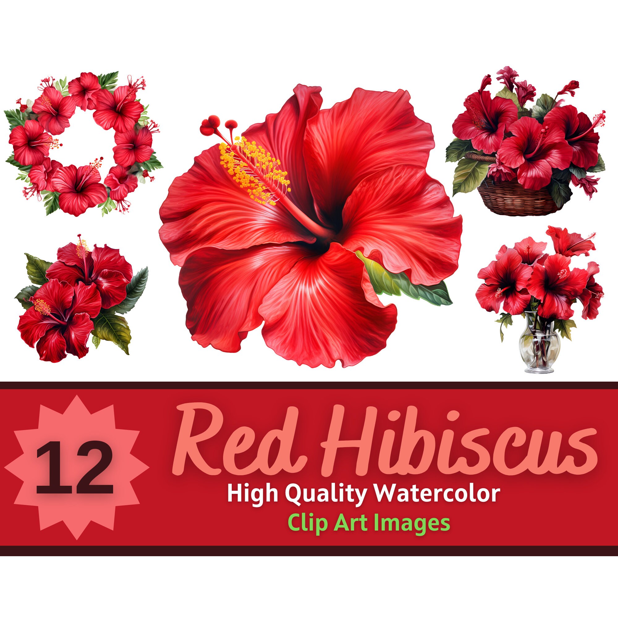 Red Hibiscus Flower Clipart PNG Watercolor Bundle Hibiscus Flower PNG ...