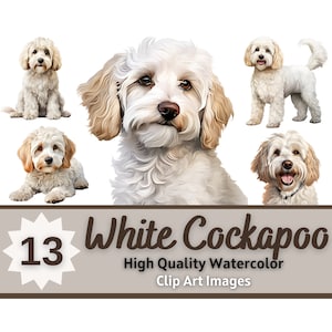 Witte Cockapoo Clipart aquarel bundel | Hondenportret | Cockapoo PNG | Junk Journal-hond | Cockapoo moeder | Dierenmonument | Kaarten maken
