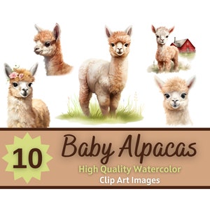 Baby Alpaka Clipart Aquarell Bundle | Baby Lama PNG | Baby Tiere Clipart | Süße Tiere PNG | Tiere auf dem Bauernhof Clipart | Barnyard Geburtstag