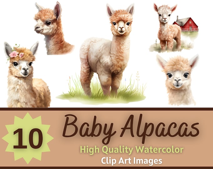 Alpaca Clipart Bundle - Png Farm Animals & Farmhouse Props, Cute ...