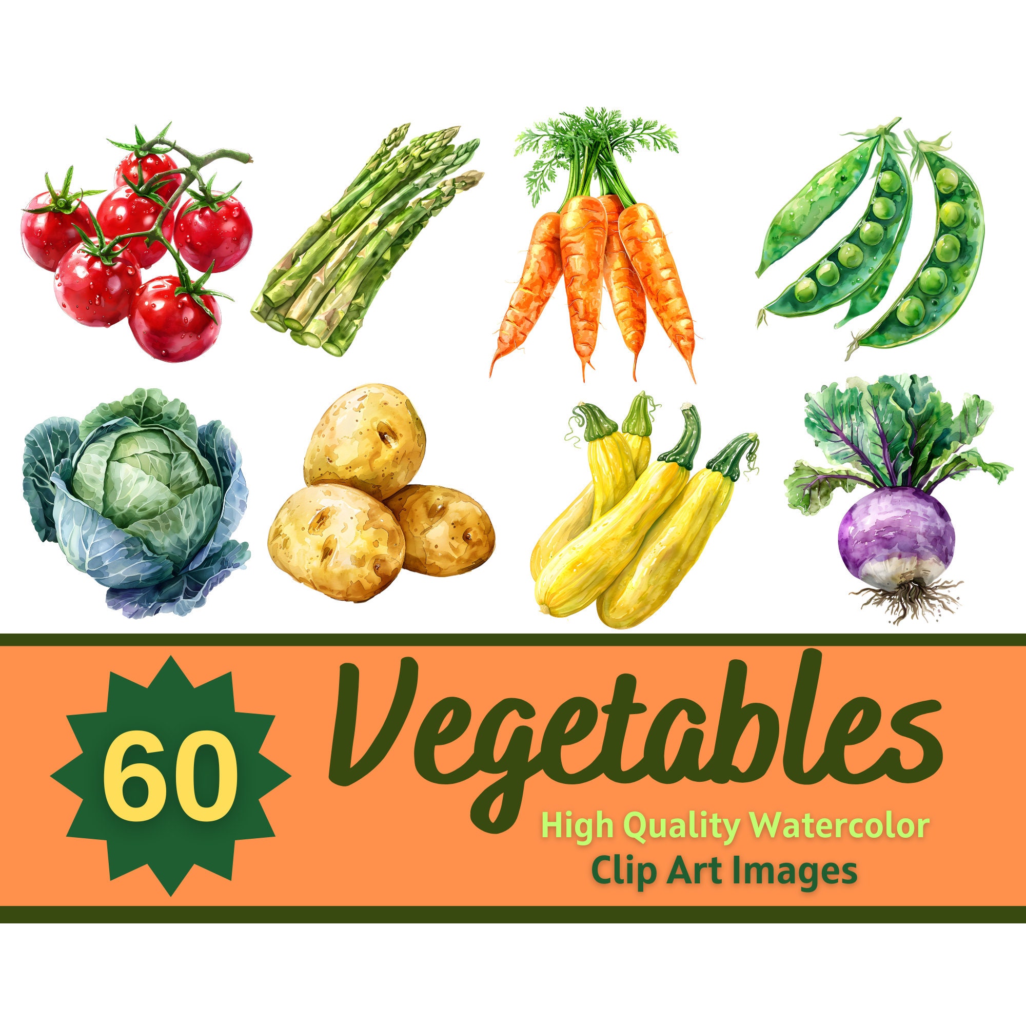 Vegetable Clipart Watercolor Bundle | Vegetable Plant PNG | Food ...