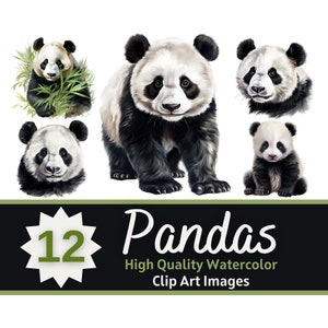Pacote aquarela de clipart de panda fofo | Panda Fofo PNG | Clipart de animal fofo | Animais Fofos PNG | Animais da Ásia Clipart | Diário Lixo