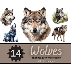 Wolf PNG Clipart Watercolor Bundle | Forest Animals Clipart | Wolf Decor | Cute Animals PNG | Woodland Animals Clipart | Junk Journal
