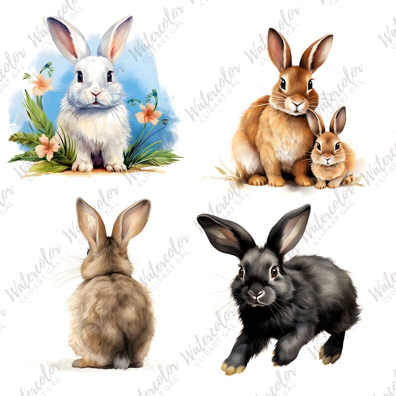 Cute Bunny Clipart Watercolor Bundle Animal Clipart Rabbit PNG Pet ...