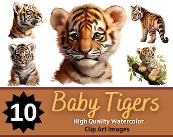 Baby Tiger PNG Clipart Watercolor Bundle | Baby Animals Clipart | Baby Animal Nursery | Jungle Animals PNG | Baby Tiger Clipart