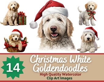 Pacote de aquarela Goldendoodle branco de Natal | Clipart de cachorro de Natal | Jornal lixo de férias | Goldendoodle Clipart | Arte do cartão de Natal