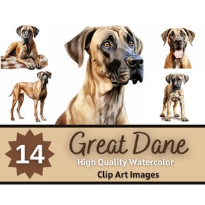 Great Dane Clipart Watercolor Bundle | Dog Portrait | Great Dane PNG | Junk Journal Dogs | Great Dane Mom | Cardmaking Embellishment