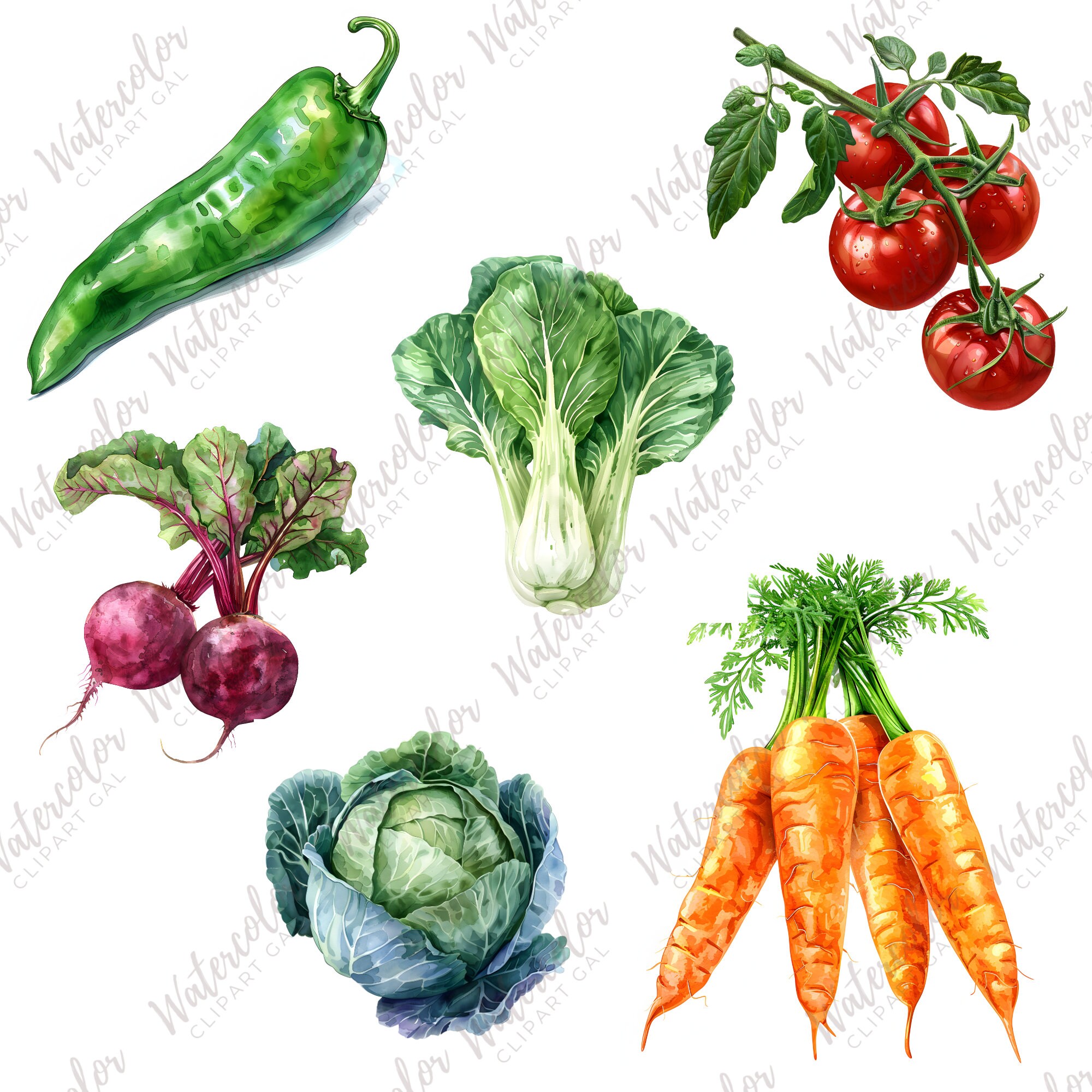 Vegetable Clipart Watercolor Bundle | Vegetable Plant PNG | Food ...