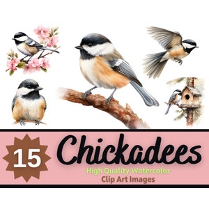 Lot de cliparts mésange | Mésange PNG | Oiseau aquarelle mésange | Impression d'art oiseau coloré | Journal indésirable Oiseaux | Clipart oiseau