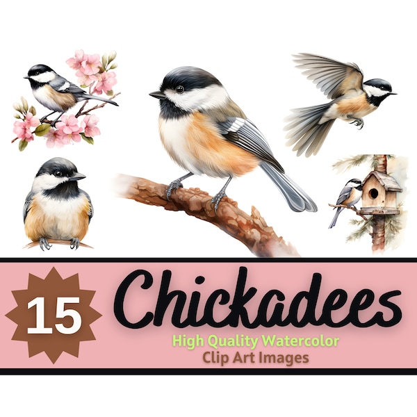 Chickadee Clipart Bundle | Chickadee PNG | Chickadee Watercolor Bird | Colorful Bird Art Print | Junk Journal Birds | Bird Clipart