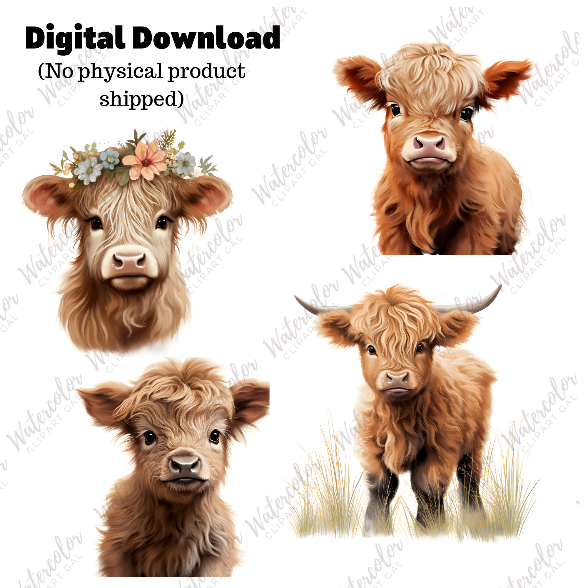 Baby Highland Cow PNG Watercolor Bundle Baby Animal Clipart Baby Animal ...