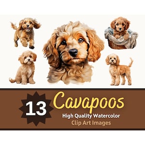 Cavapoo Clipart Watercolor Bundle | Dog Portrait | Cavapoo PNG |  Dog Lover Art | Junk Journal Dogs | Cardmaking Embellishment