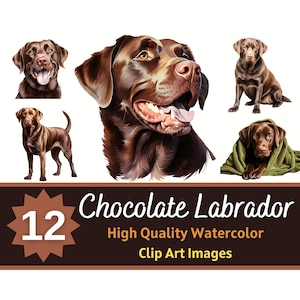 Schokolade Labrador Clipart Aquarell Bundle | Hundeportrait | Schokoladen Labrador PNG | Hundeliebhaber Kunst | Haustier-Denkmal | Cardmaking Verschönerung